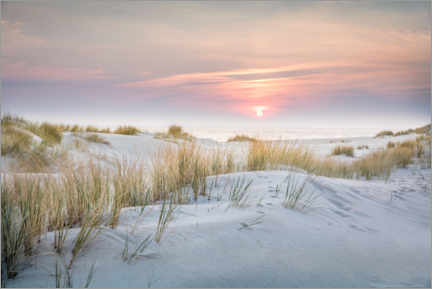 Poster Sunrise in the dunes on Sylt