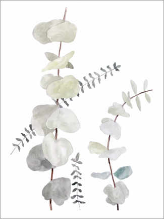 Poster Botanical illustration Mix1
