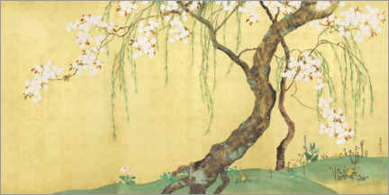 Gallery print  Cherry and maple trees - Sakai H?itsu