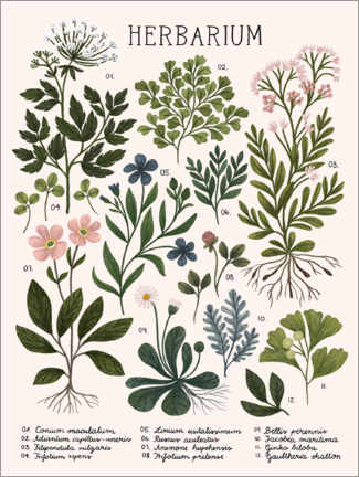 Hout print  Herbarium Latijn - Kaja Kajfez