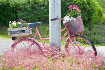 Premium poster Pink bike with flowers