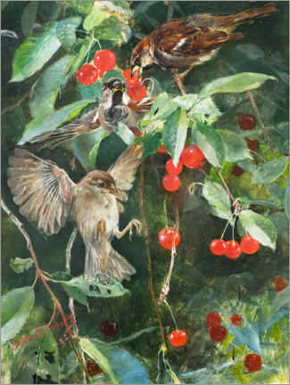 Poster  Sparrows in a cherry tree - Bruno Andreas Liljefors