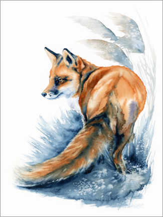 Acrylglas print  Fox in the Reeds - Zaira Dzhaubaeva