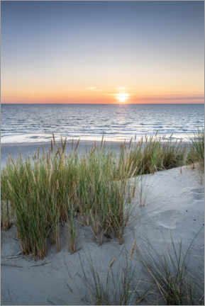 Aluminium print  Sunset on the dune beach - Jan Christopher Becke