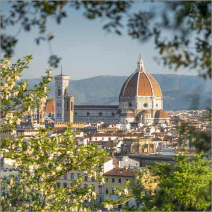 Premium poster Florence Cathedral