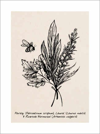 Canvas print  Parsley, Laurel and Riverside wormwood - Velozee