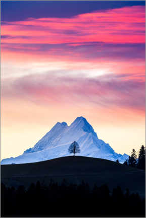 Poster Lonely tree and Schreckhorn at sunrise