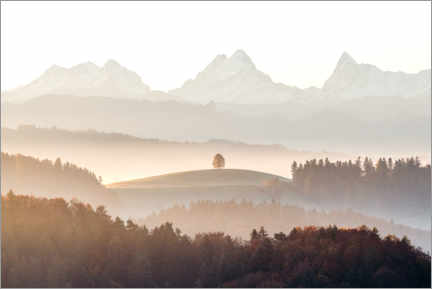 Acrylglas print  Eiger, Mönch and Jungfrau on a foggy autumn morning - Marcel Gross