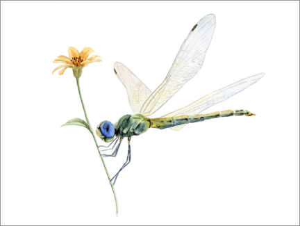 Hout print  Dragonfly - Nadine Conrad