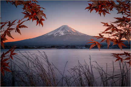 Premium poster Mt Fuji at dusk