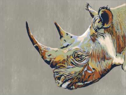 Aluminium print  Rhinoceros - Studio Carper