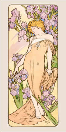Acrylglas print  The Flowers - Lovely Iris - Alfons Mucha