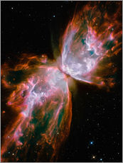 Muursticker  The Butterfly Nebula