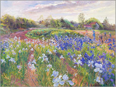 Muursticker  Field of flowers - Timothy Easton