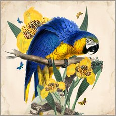 Muursticker  Oh My Parrot IX - Mandy Reinmuth