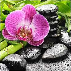 Gallery print  Zen stenen en één roze orchidee