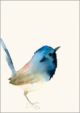 Gallery print  Donkerblauw vogeltje - Dearpumpernickel