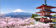 Gallery print  Chureito pagoda with Mount Fuji in Fujiyoshida, Japan - Jan Christopher Becke