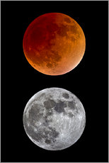 Gallery print  blood moon-super moon-full moon - MonarchC