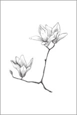 Canvas print  Magnolia - RNDMS