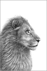 Premium poster Lion