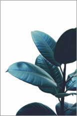 Poster  Rubber plantenbladeren - Art Couture
