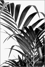 Premium poster Palm bladeren II