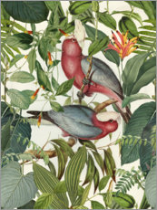 Canvas print  Tropische vogels - Andrea Haase