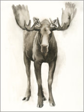 Poster Majestic moose