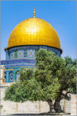Premium poster Dome of the Rock with olive tree