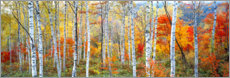 Hout print  Birch forest in autumn