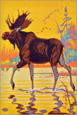 Gallery print  Moose in the moor - Vintage Travel Collection