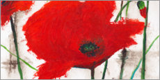 Canvas print  Poppy flowers IV - Vittorio Vitale