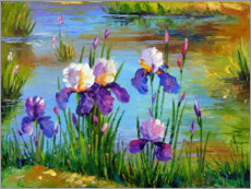 Poster Irises at the pond