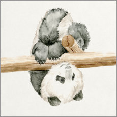 PVC print  Baby Panda II - Melissa Wang