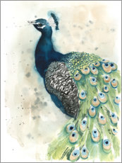 Aluminium print  Peacock Portrait - Grace Popp