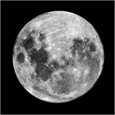 Muursticker  Full Moon - Robert Gendler