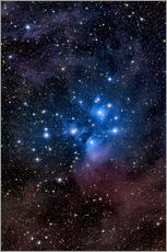 Gallery print  The Pleiades - Roth Ritter