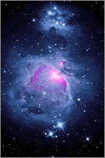 Muursticker  Orion Nebula M 42 and Running Man Nebula - MonarchC