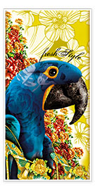 Poster Blue macaw