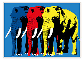 Premium poster  Elephant Walk - JASMIN!