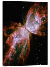 Canvas print  The Butterfly Nebula