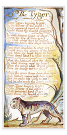 Poster  The Tyger - William Blake