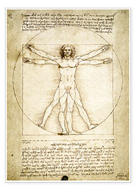 Poster  De Vitruviusman - Leonardo da Vinci