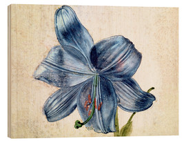 Hout print  Study of a lily - Albrecht Dürer