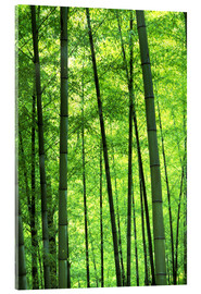 Acrylglas print  Bamboo forest - Keren Su