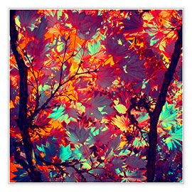 Premium poster autumn tree II