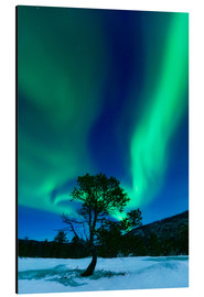 Aluminium print  Aurora Borealis, Forramarka, Troms, Norway. - Arild Heitmann
