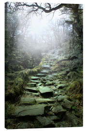 Canvas print  mystical stairs - Nadine Conrad