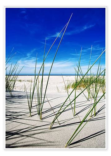 Premium poster a day at the beach